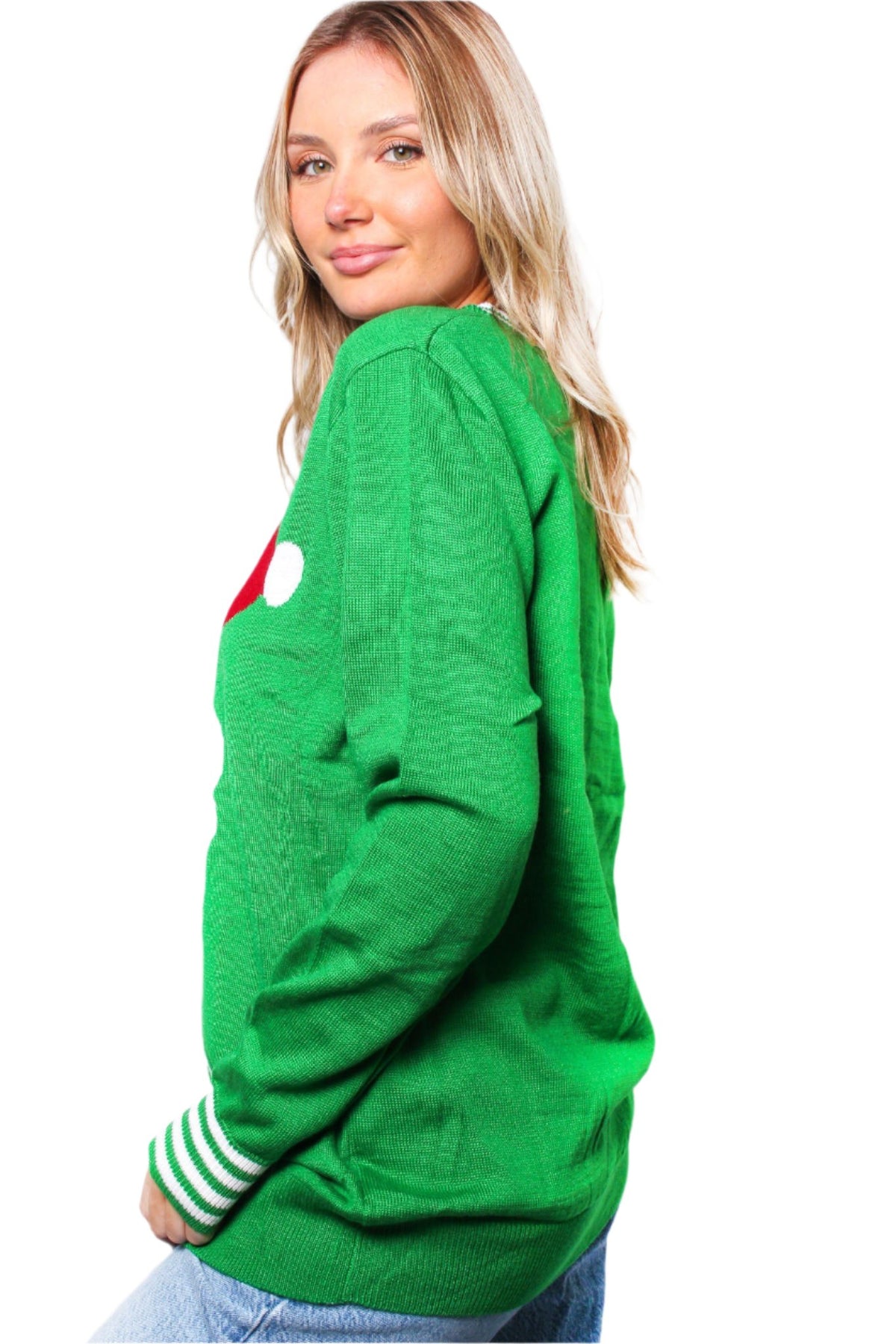 Women's Crew Neck Long Sleeves Knit Christmas Print Sweater