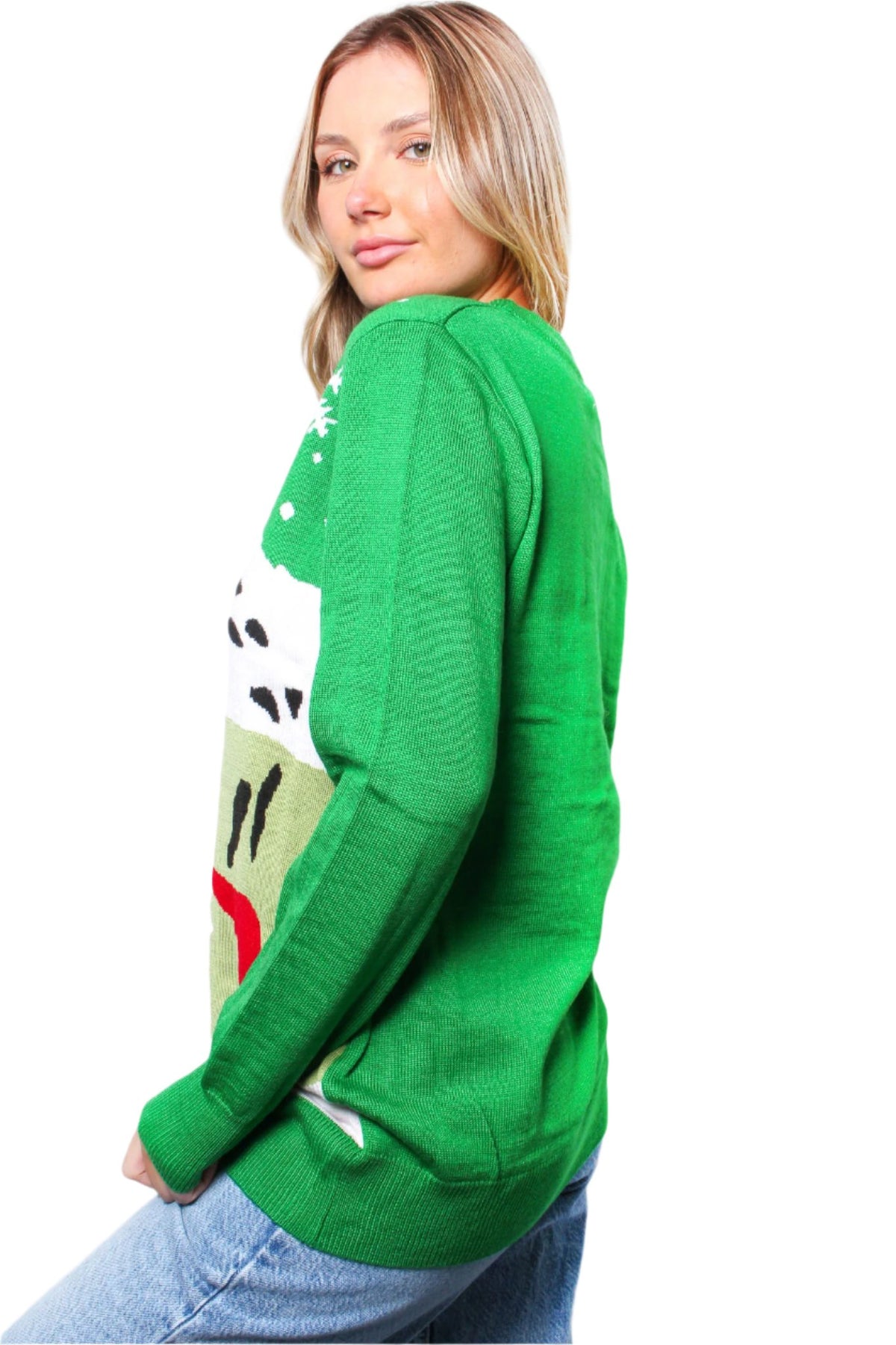 Women's Crew Neck Long Sleeves Knit Christmas Print Sweater