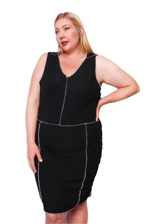 Women's Plus Sleeveless V Neck Plain Dress