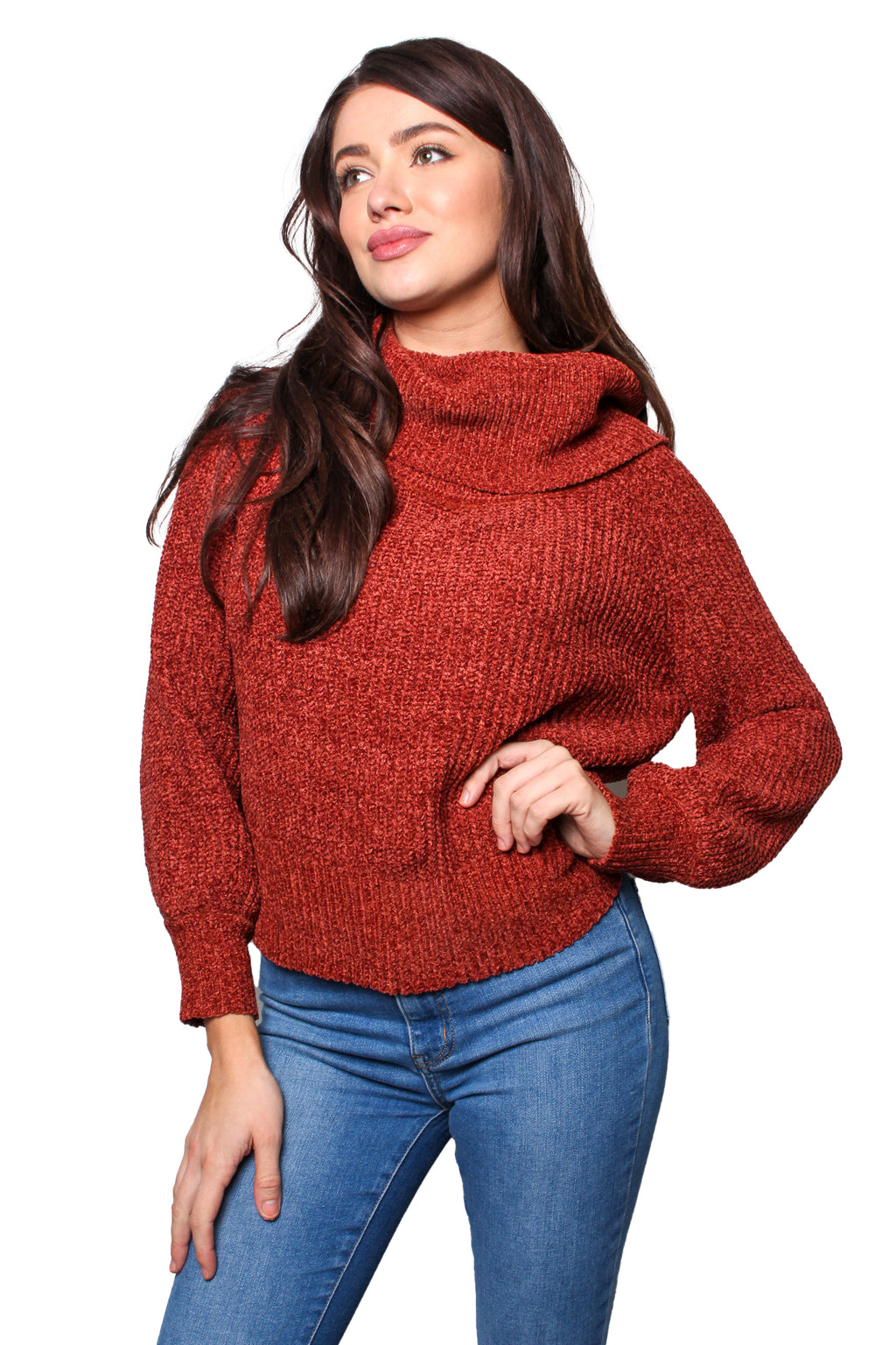 Women's Long Sleeves High Neck Knitted Sweater