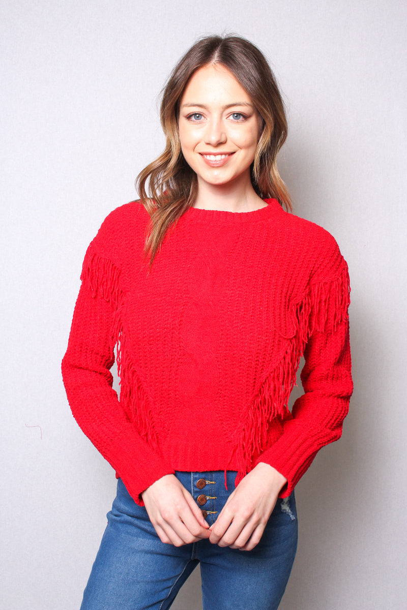 Women's Long Sleeves Round Neck Fringe Knit Sweater Top