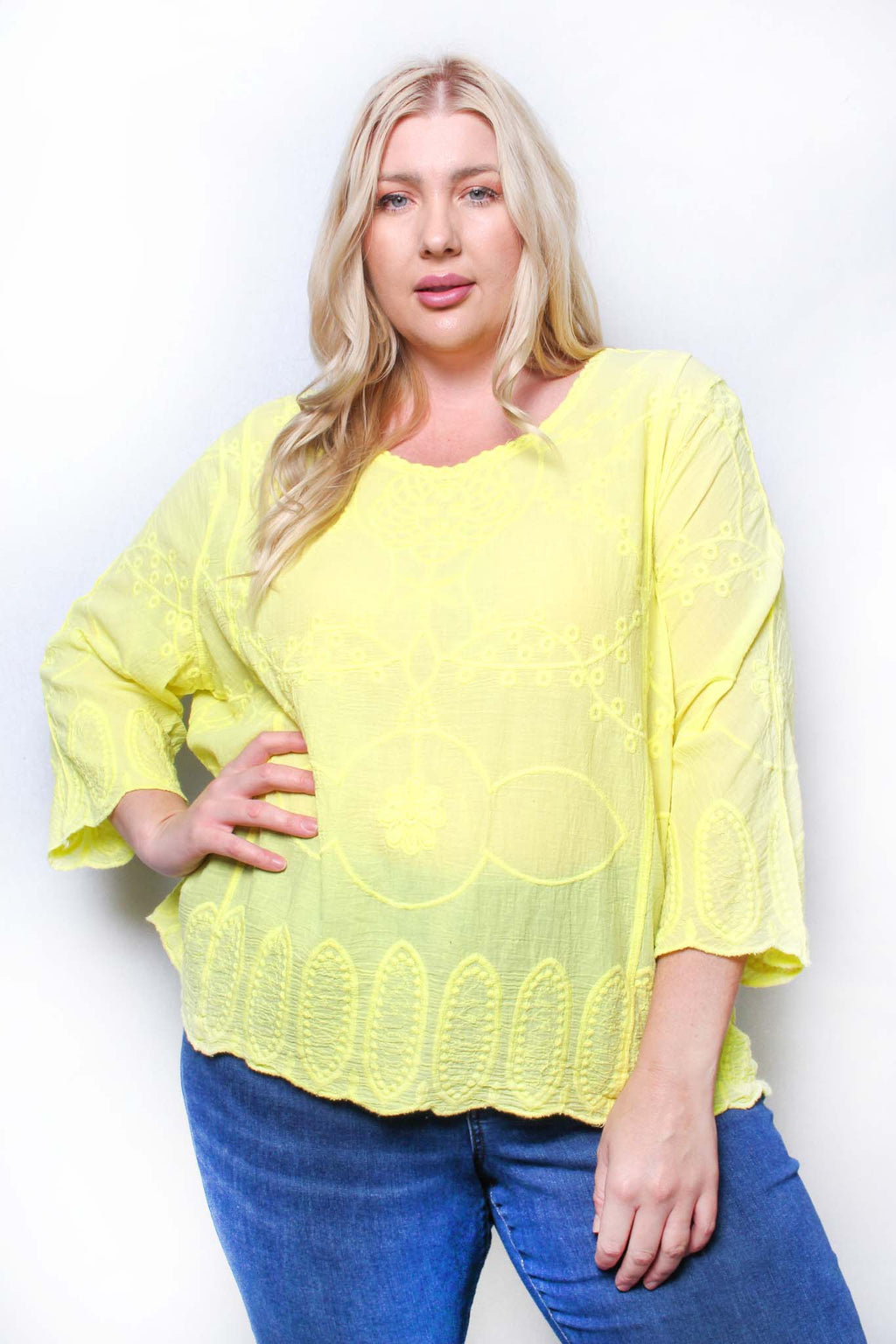 Women's Plus Long Sleeve Round Neck Embroidered Top