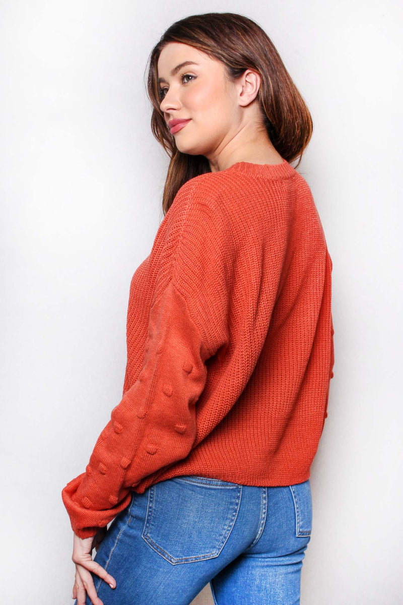 Women's Round Neck Long Sleeves Knitted Plain Sweater