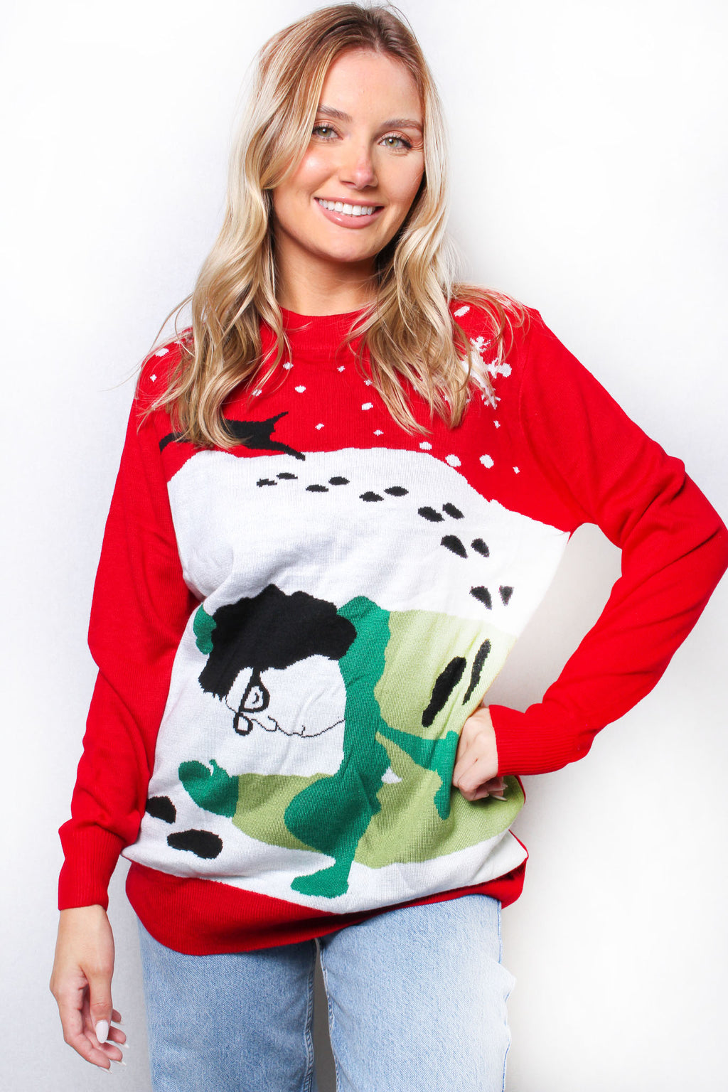 Women's Crew Neck Long Sleeves Knit Christmas Print Sweater