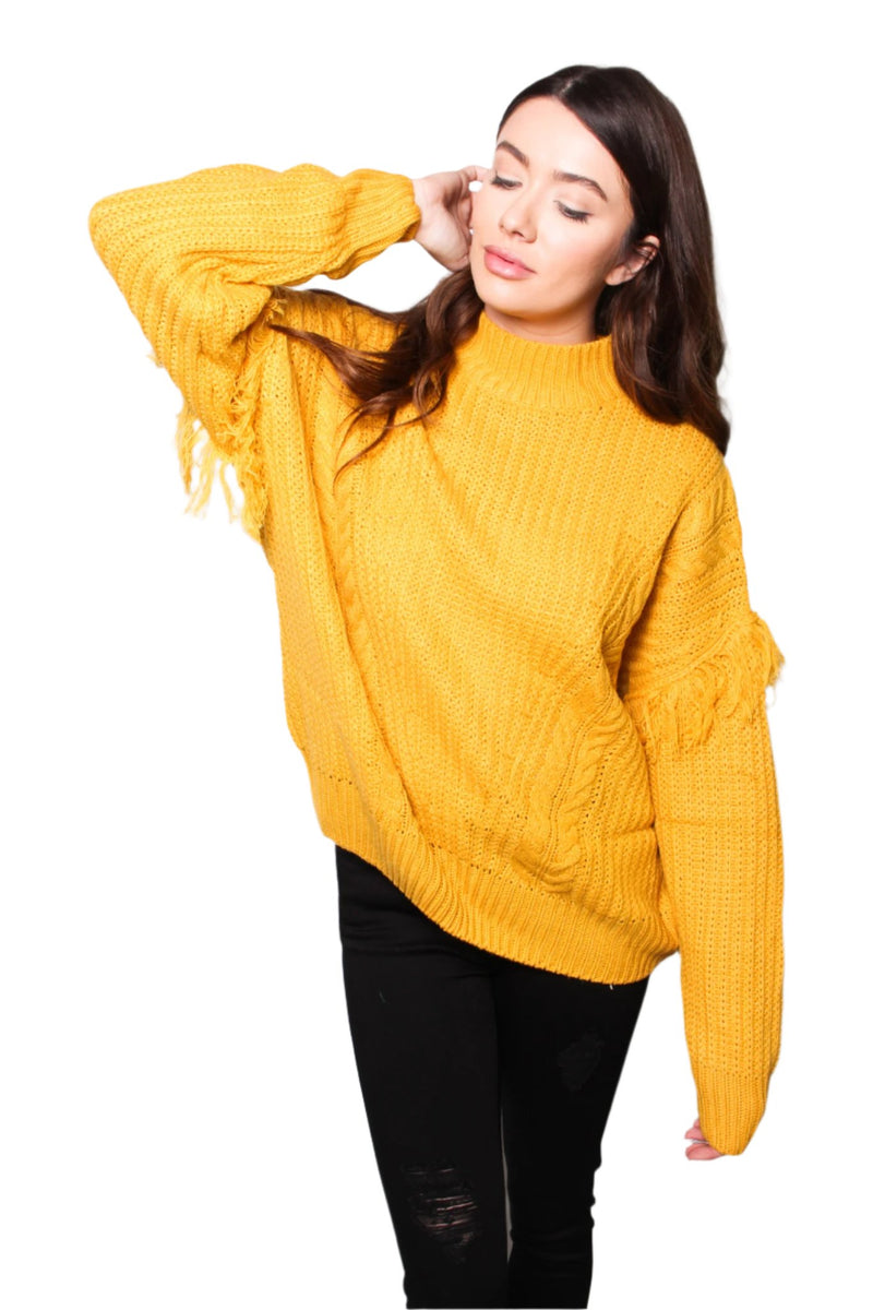 Women's Fuzzy Long Sleeves Pullover Fringe Sweater