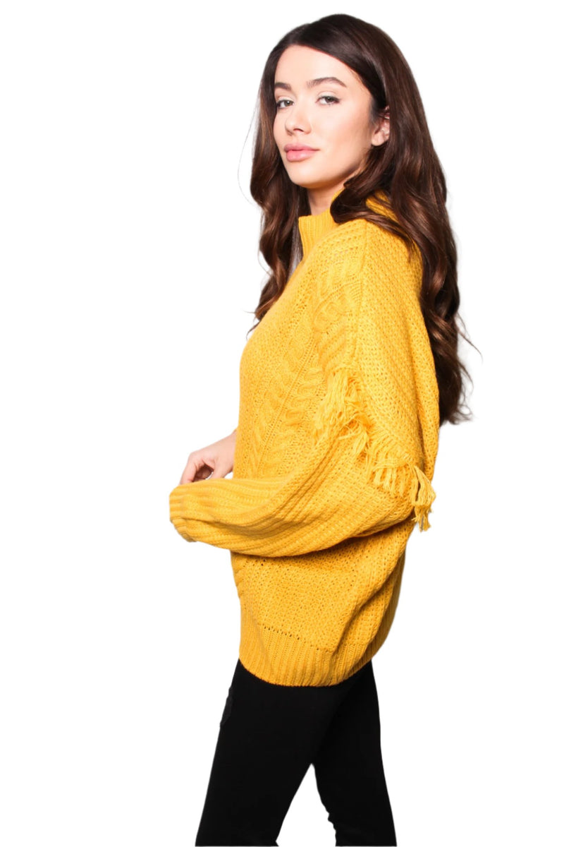 Women's Fuzzy Long Sleeves Pullover Fringe Sweater