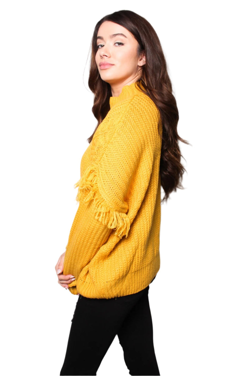 Women's Fuzzy Long Sleeves Pullover Fringe Sweater