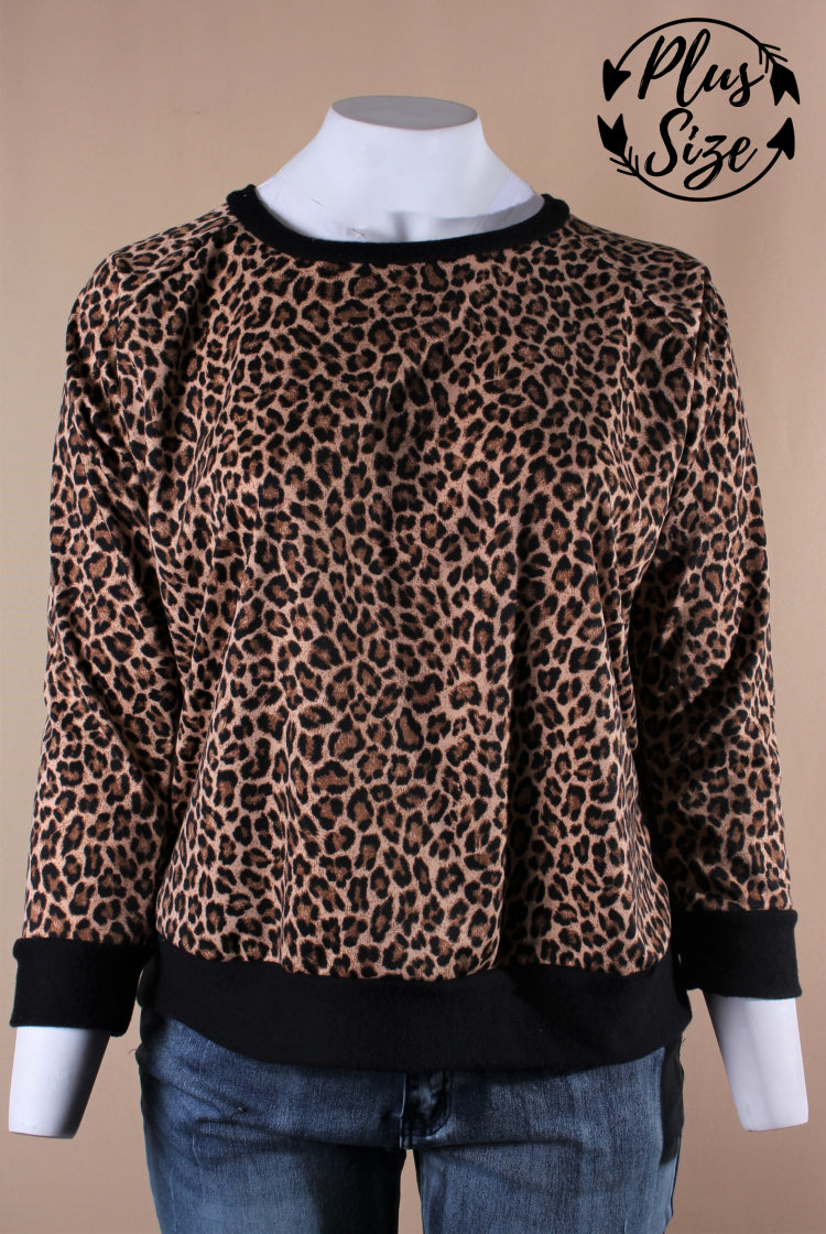 Women's Plus Size Animal Print Raglan Top