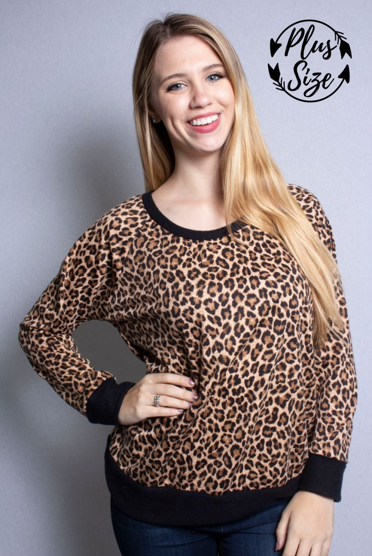 Women's Plus Size Animal Print Raglan Top